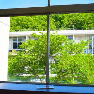緑が映える学校の窓